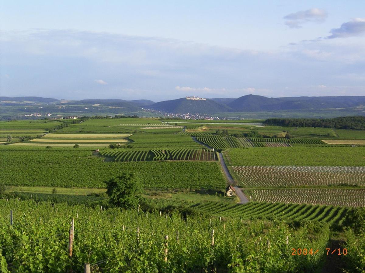 Asbacher Klosterkeller Stratzing ภายนอก รูปภาพ